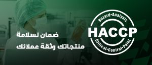 نظام الهاسب​